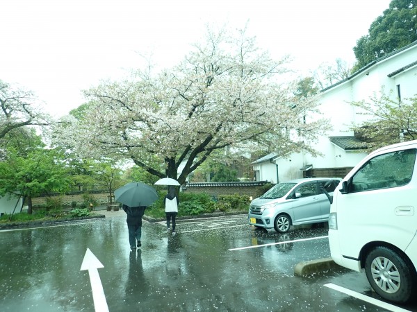 雨のお出かけ・・サムネイル
